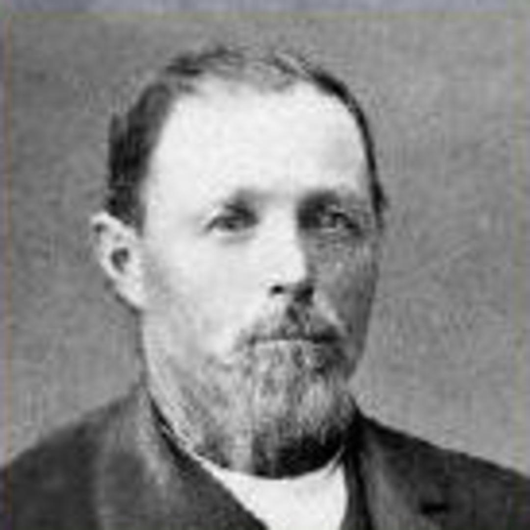 Sylvester Henry Pearce (1843 - 1927) Profile